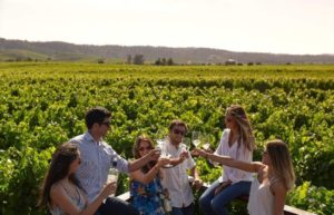 Wine Tasting Adventure at Casas del Bosque