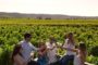 Wine Tasting Adventure at Casas del Bosque