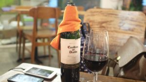 Wine Tours from Santiago Chile